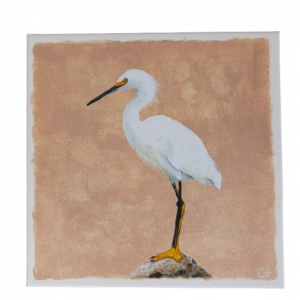 Héron blanc sur son rocher