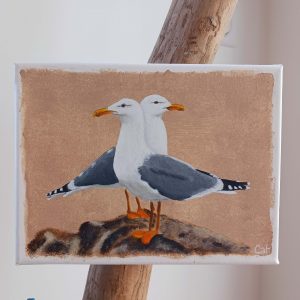 Goélands dos à dos