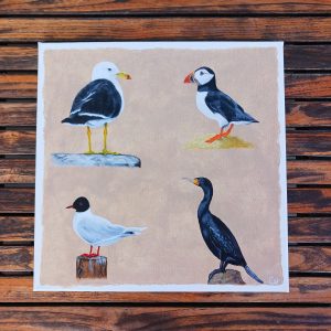 Les oiseaux marins