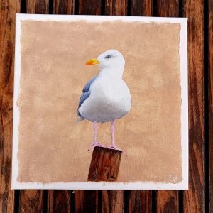 Goéland sur son poteau