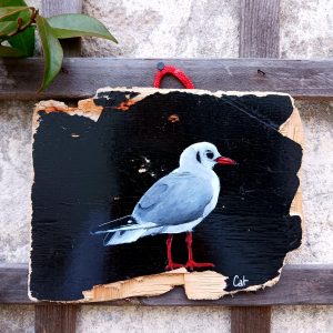 Jolie mouette