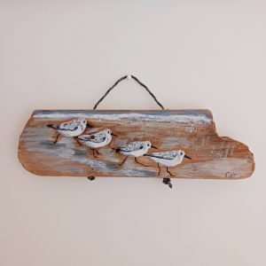 Les petits bécasseaux