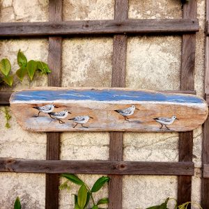 Troupe de bécasseaux