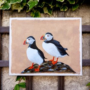 Couple de macareux