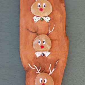 Les rennes du Père Noël
